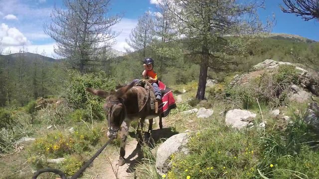 Corse secrète avec un âne - rando famille