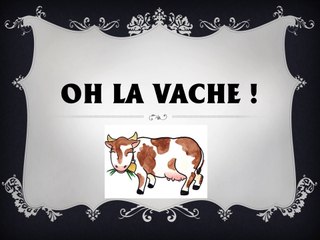 Oh la vache ! Diaporama de l'UPE2A de l'école Calvinhac (31)