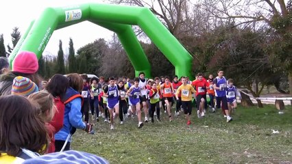 XIX Cross Los Cerros, übeda, 23-01-2011.avi