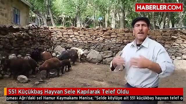 551 Küçükbaş Hayvan Sele Kapılarak Telef Oldu
