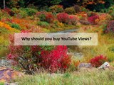 Reasons People Buy YouTube Views, Likes and Subscribers
