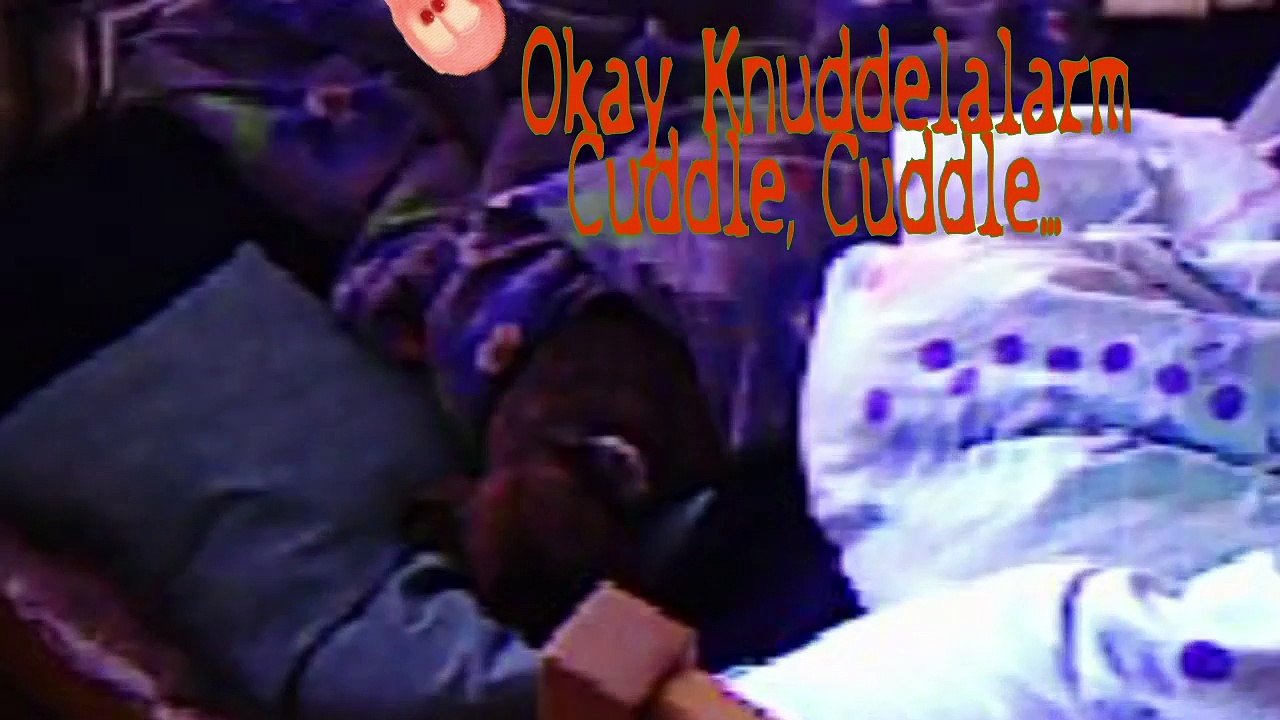 Funny dog won't get out of bed