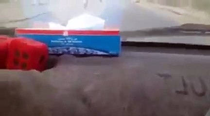 بالفيديو: سائق حافلة يعلم ابنه الصغير سياقة الحافلة تابعة للشركة الجهوية للنقل بصفاقس