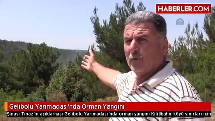 Gelibolu Yarımadası'nda Orman Yangını