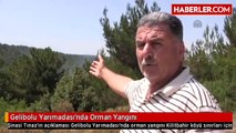Gelibolu Yarımadası'nda Orman Yangını