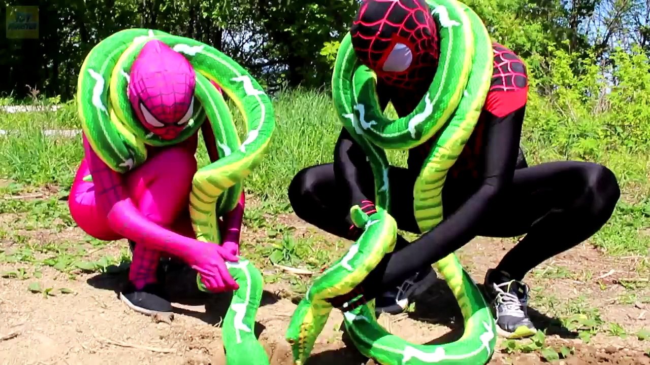 Örümcek adam ve donmuş Elsa yılanlar döndü! pembe Spidergirl, Anna, Superman ve Hamburger eşek şakası-)