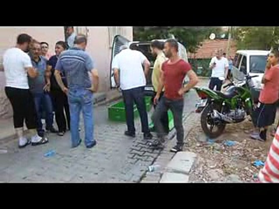 bonzayi hazır