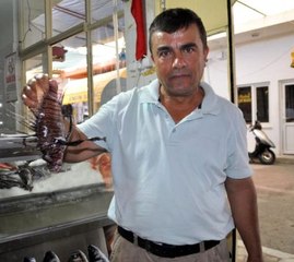 Gazipaşa'da Zehirli Aslan Balığı Yakalandı