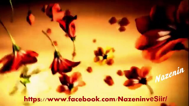 Ajda PEKKAN Çapkın satıcı Vd. NAZENİN