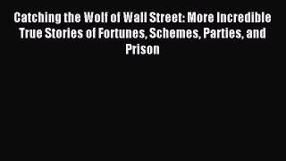 Read Catching the Wolf of Wall Street: More Incredible True Stories of Fortunes Schemes Parties