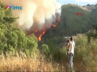 Bakan Eroğlu: Orman yangınları çok büyük değil