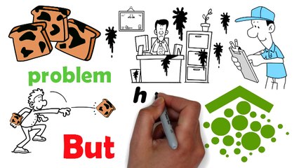 FunGuy Mold Inspection & Testing Los Angeles WB 1