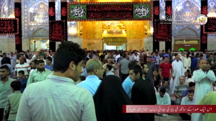 اس ایک صدا کے ساتھ ملی بابا کی جدائی زینب سلام اللہ علیہا کو