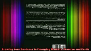 READ book  Growing Your Business in Emerging Markets Promise and Perils Full EBook