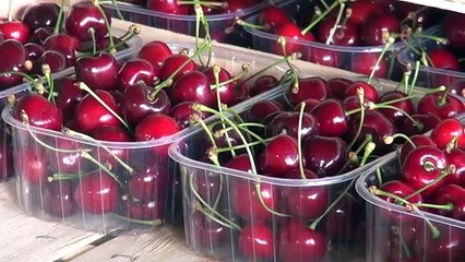 Uspjeh trešnjeve boje