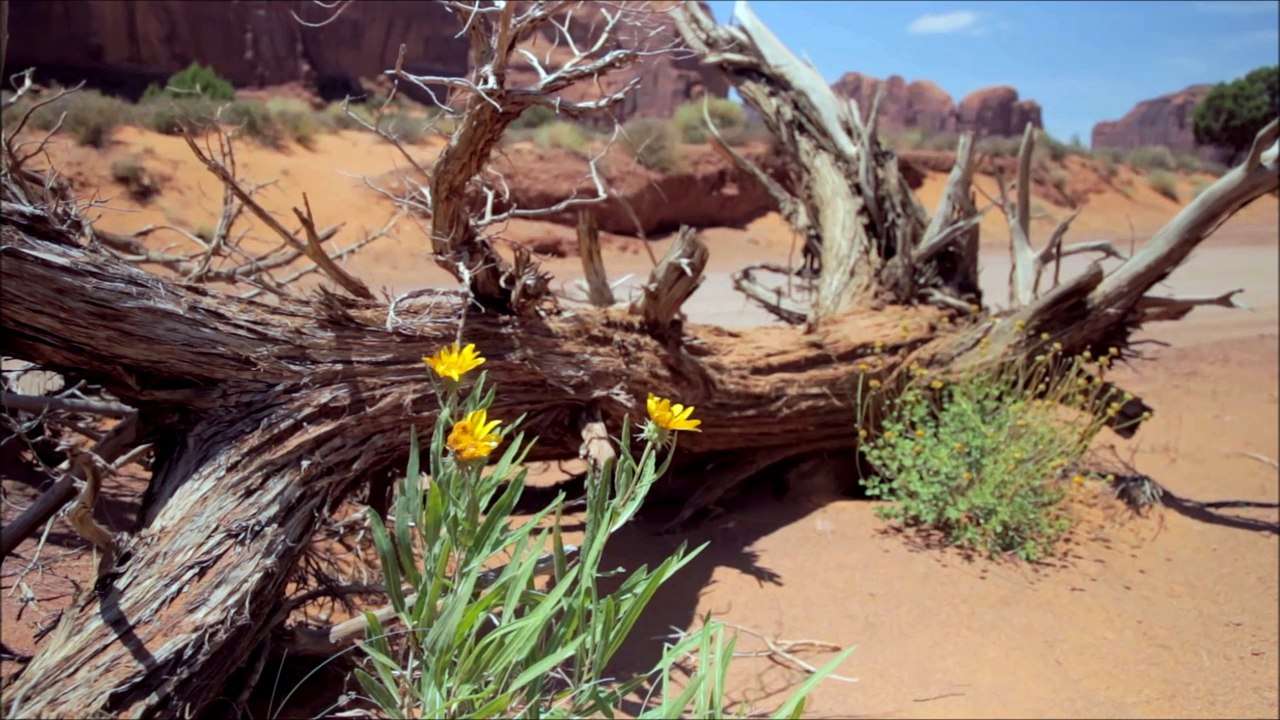 Monument Valley 8