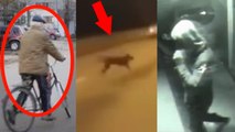5 Time Travelers Caught on Tape