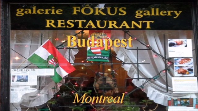 Blue Danube - Johann Strauss