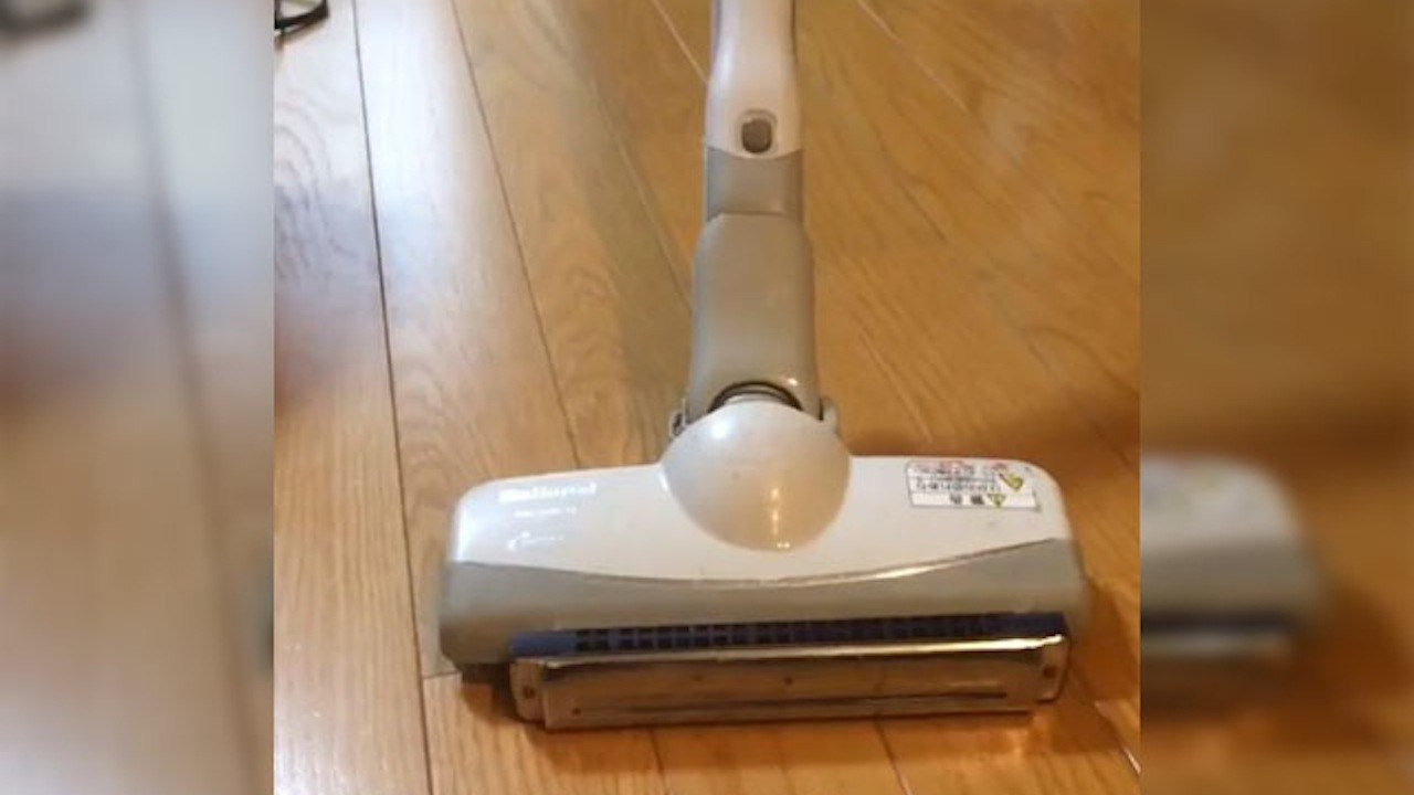 Vacuum Cleaners Can Play HARMONICAS?