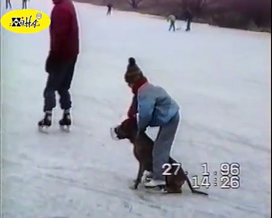 SuperBike Dog Trick
