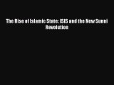 [PDF] The Rise of Islamic State: ISIS and the New Sunni Revolution Download Online