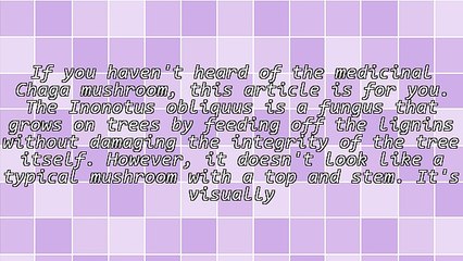 Superfood: Chaga Mushroom