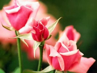 Nat King Cole Tres Palabras