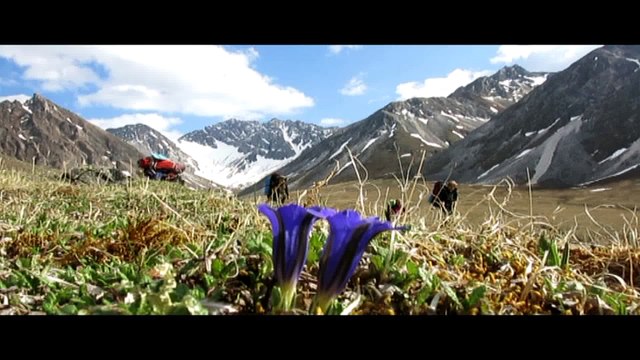 Саяны июнь 2016 полный