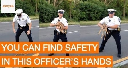 Police Officer Rescues Confused Fawn From Road