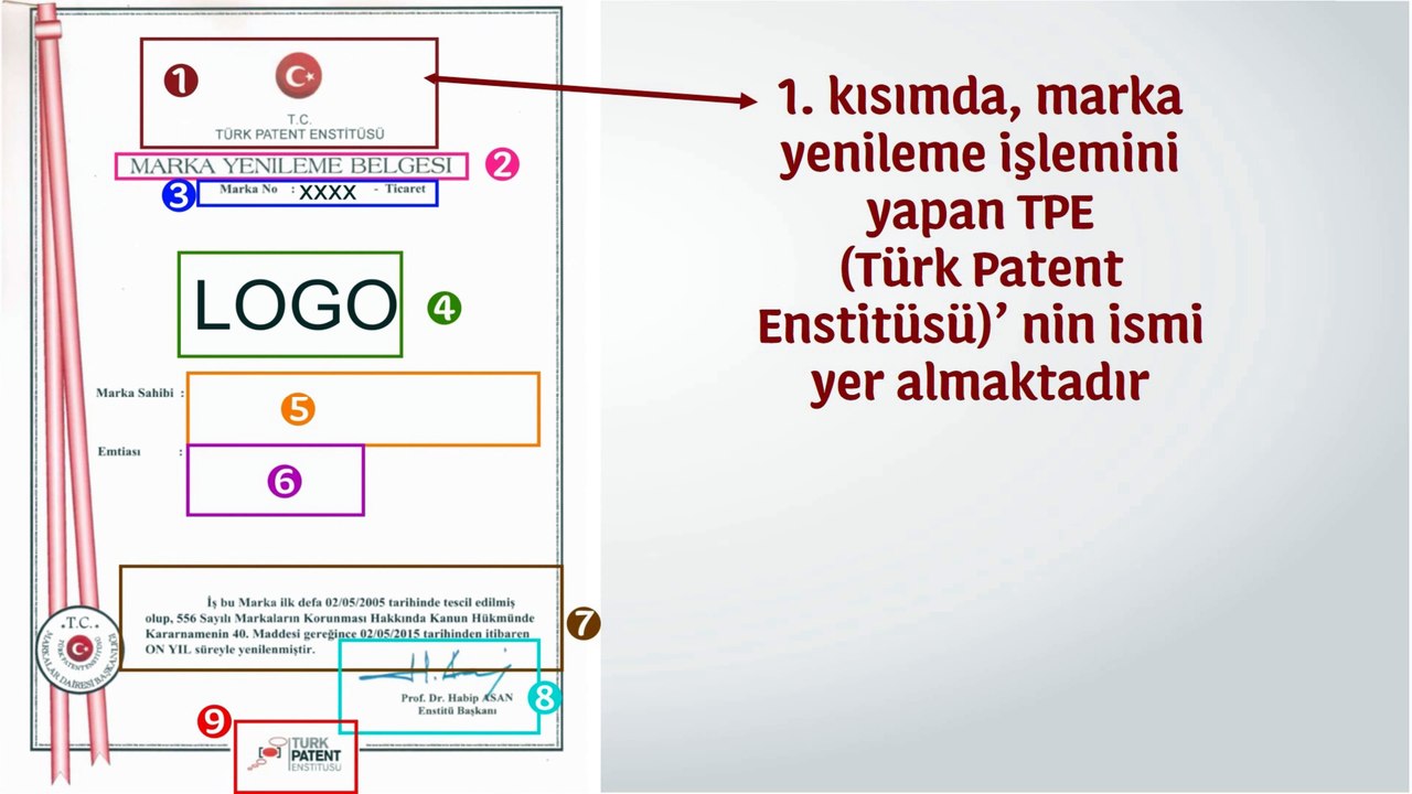 Marka Yenileme Belgesinde Yer Alan Bilgiler