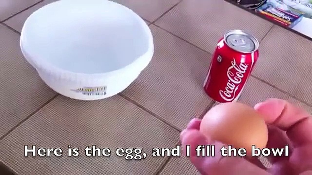 Un oeuf dans Coca Cola pendant un an, une expérience énorme