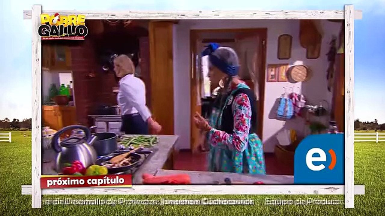 121 Avance Pobre Gallo