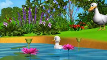Five Little Ducks Went Out One Day - 3D Animation English Nursery Rhymes for Children with Lyrics