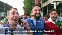 Euro 2016: Italy celebrates after Spain win