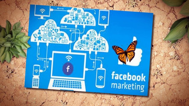 How Facebook Marketing Tools Helps to Promote Your Business Successfully?