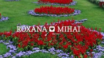 Roxana & Mihai 12 iunie 2016