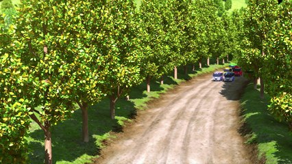 [TAYO'S SING ALONG SHOW S1] EP8 The Delightful Countryside Trip