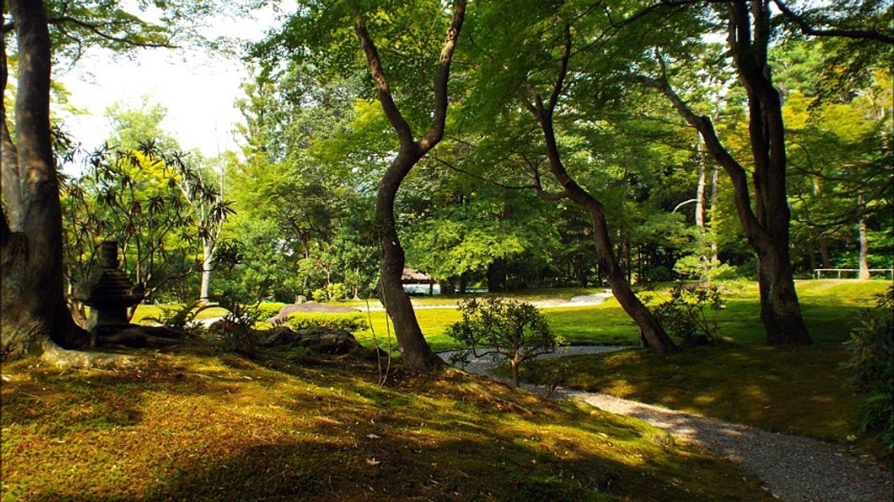 Le conteur s'enfuit : Japon - Jour 17