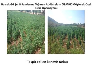 Dev Lice Operasyonunda Ele Geçirilenler