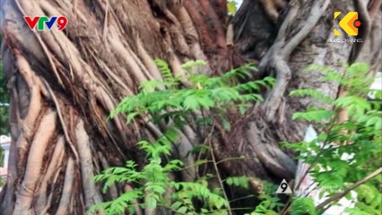 Chuyện từ những con đường | 3 Thang 2