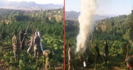 Dev Lice Operasyonunda Ele Geçirilenler