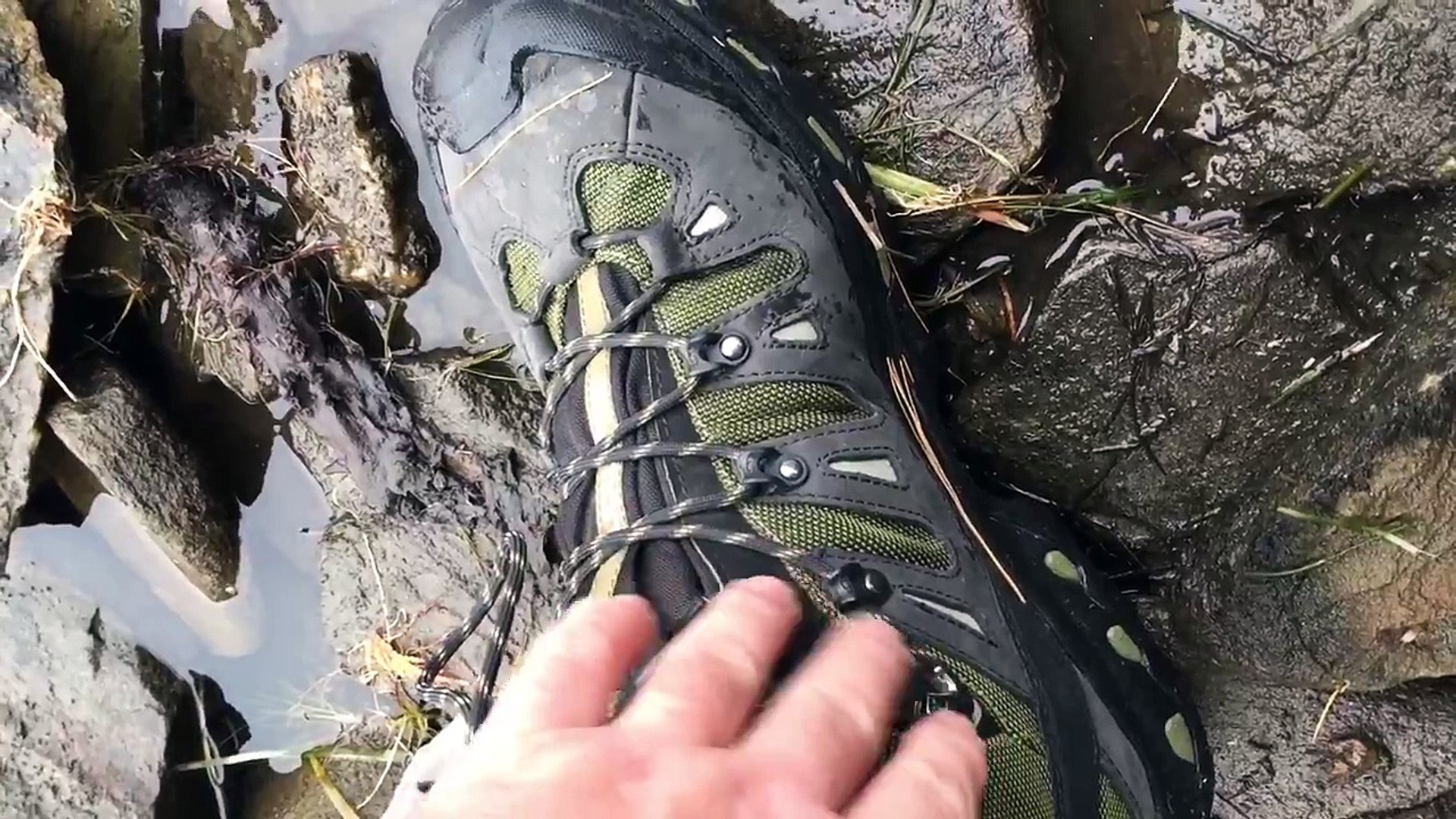 salomon iguana green
