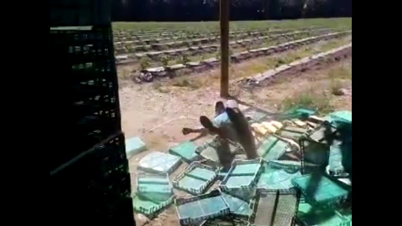 NEW The Best Fails of April 2016 _ Part 1 Fail Compilation