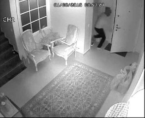 Villanın Salonunda Köpekle Karşılaşan Hırsız Böyle Kaçtı