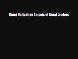 Read Book Great Motivation Secrets of Great Leaders ebook textbooks