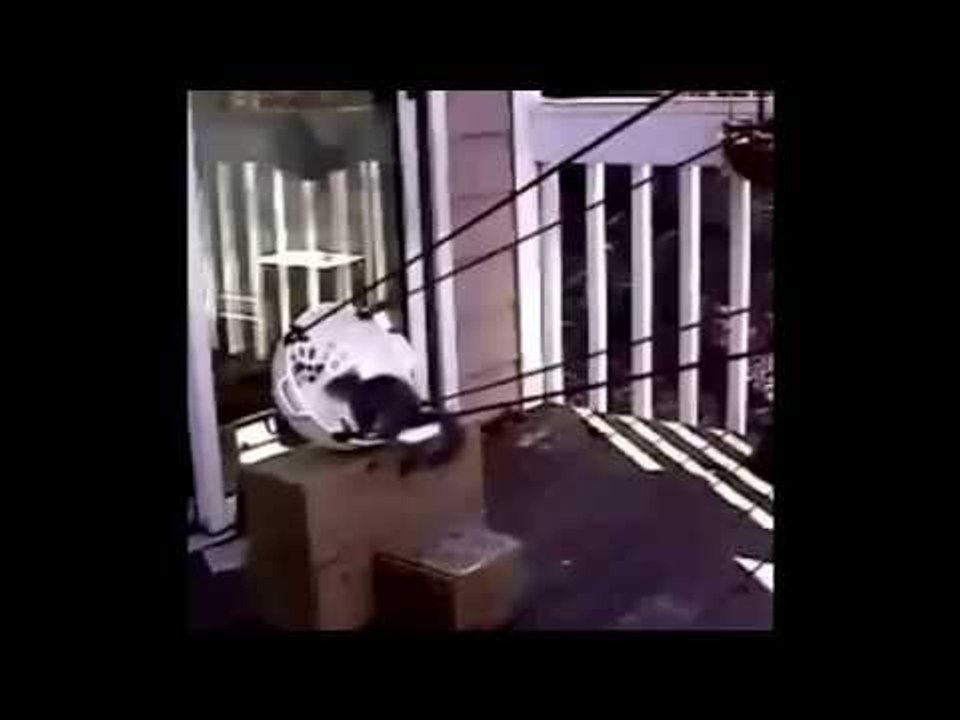 Truth Behind 9/11