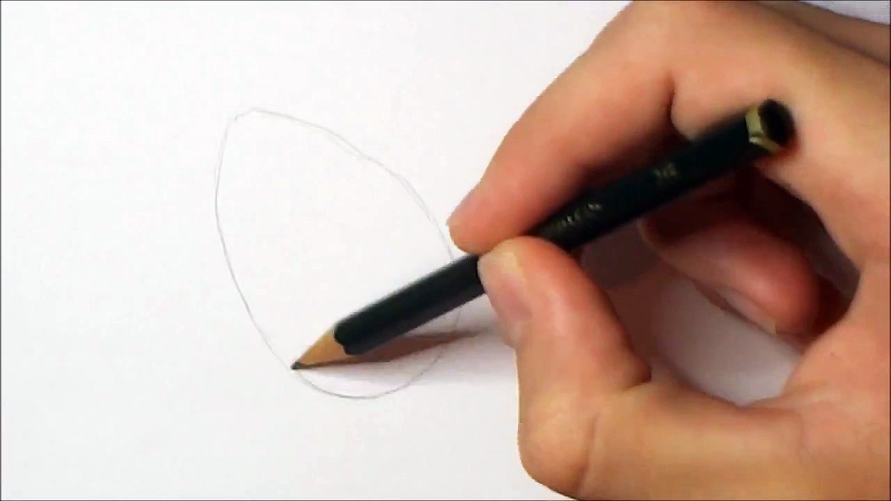 How to Draw a Shark
