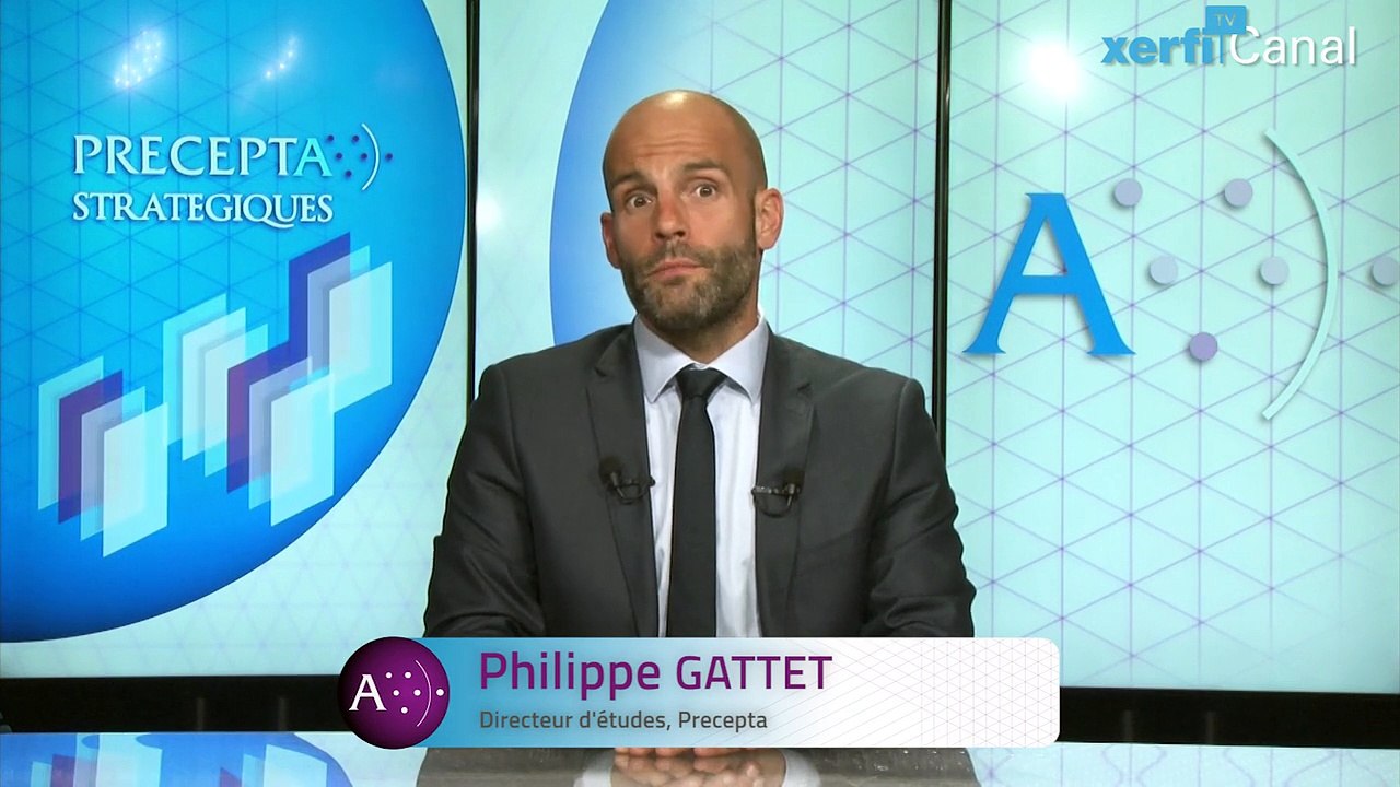 Philippe Gattet, Comprendre les effets de réseau - une introduction