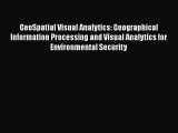 Read GeoSpatial Visual Analytics: Geographical Information Processing and Visual Analytics