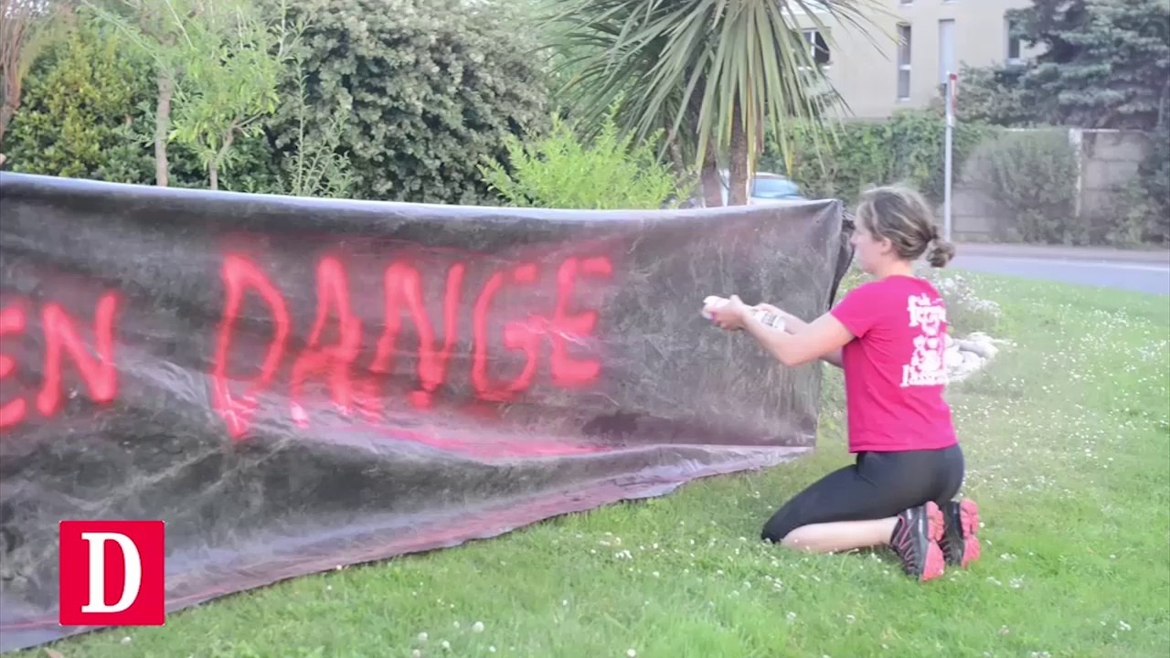 Les agriculteurs contre la réintroduction de l'ours dans les Pyrénées